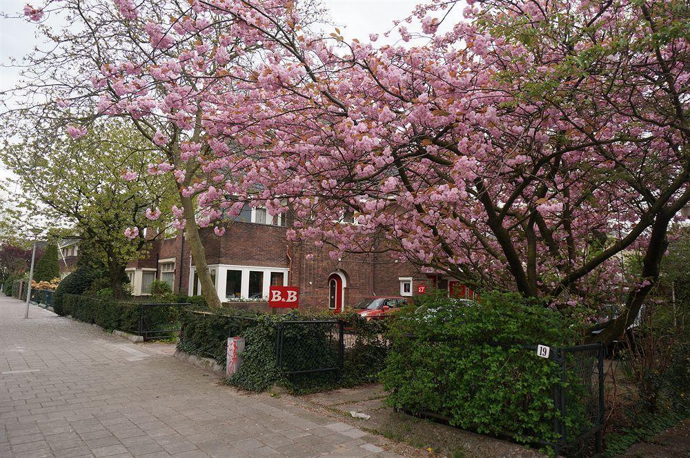 Xaviera's Bed and breakfast Ámsterdam